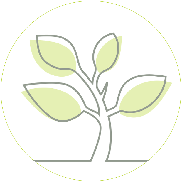 Sassafras icon